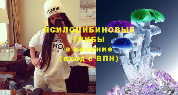 эйфоретик Горнозаводск